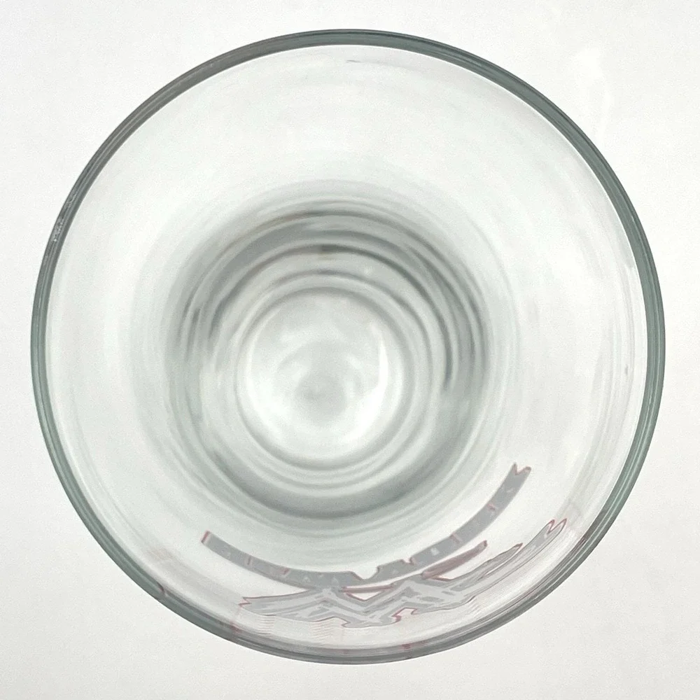 Vintage 1999 WWF New York Pilsner Beer Glass 9